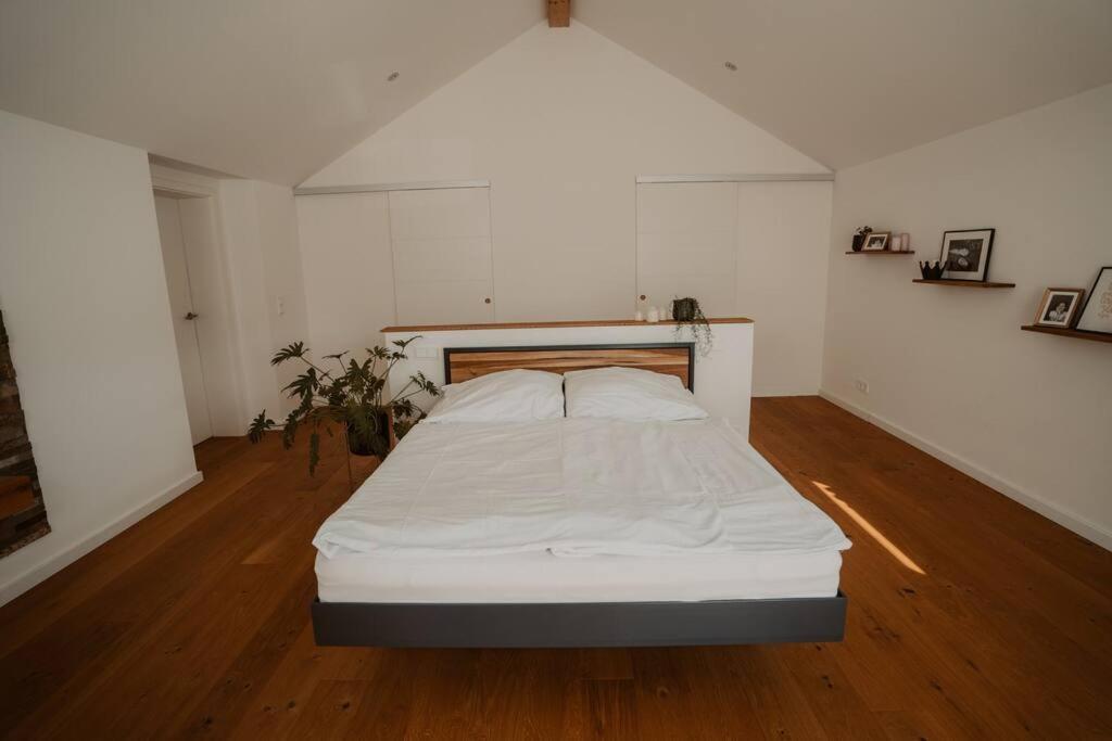 Modernes Offenes Haus Swisttal